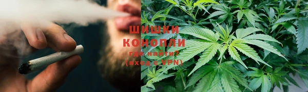 гидропоника Надым