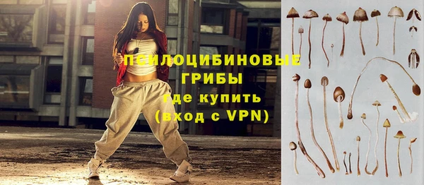 гидропоника Надым