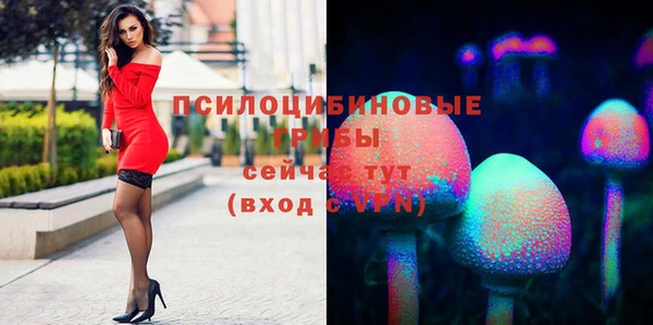 гидропоника Надым