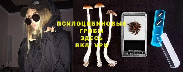 гашик Наволоки
