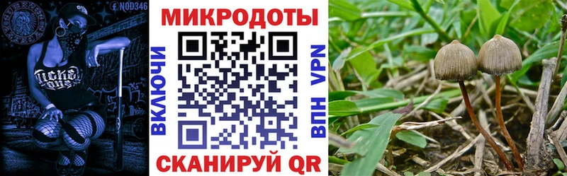 hydra рабочий сайт  Рославль  маркетплейс Telegram  Псилоцибиновые грибы Psilocybine cubensis 