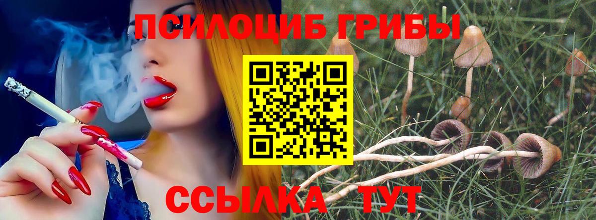 Галлюциногенные грибы Cubensis  Вход с VPN  Рославль 