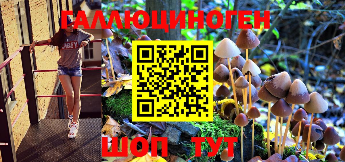 Псилоцибиновые грибы Psilocybine cubensis Рославль