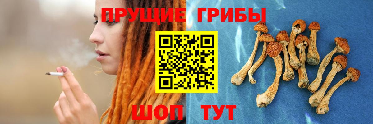 Галлюциногенные грибы Magic Shrooms Рославль